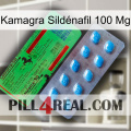 Kamagra Sildénafil 100 Mg new03